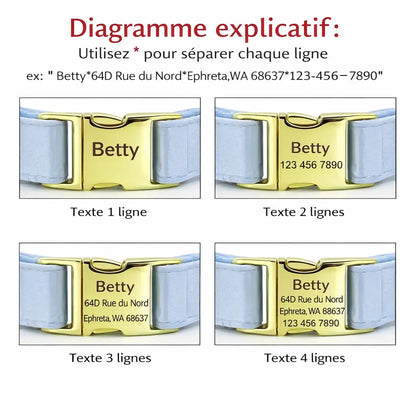 Schéma montrant plusieurs exemples de gravure sur la boucle d’un collier personnalisé pour chien.