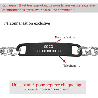 Visuel expliquant la personnalisation de la plaque gravée du collier pour petit chien.