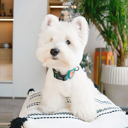 Collier pour chiot vert porté par un petit chien sur un coussin blanc.