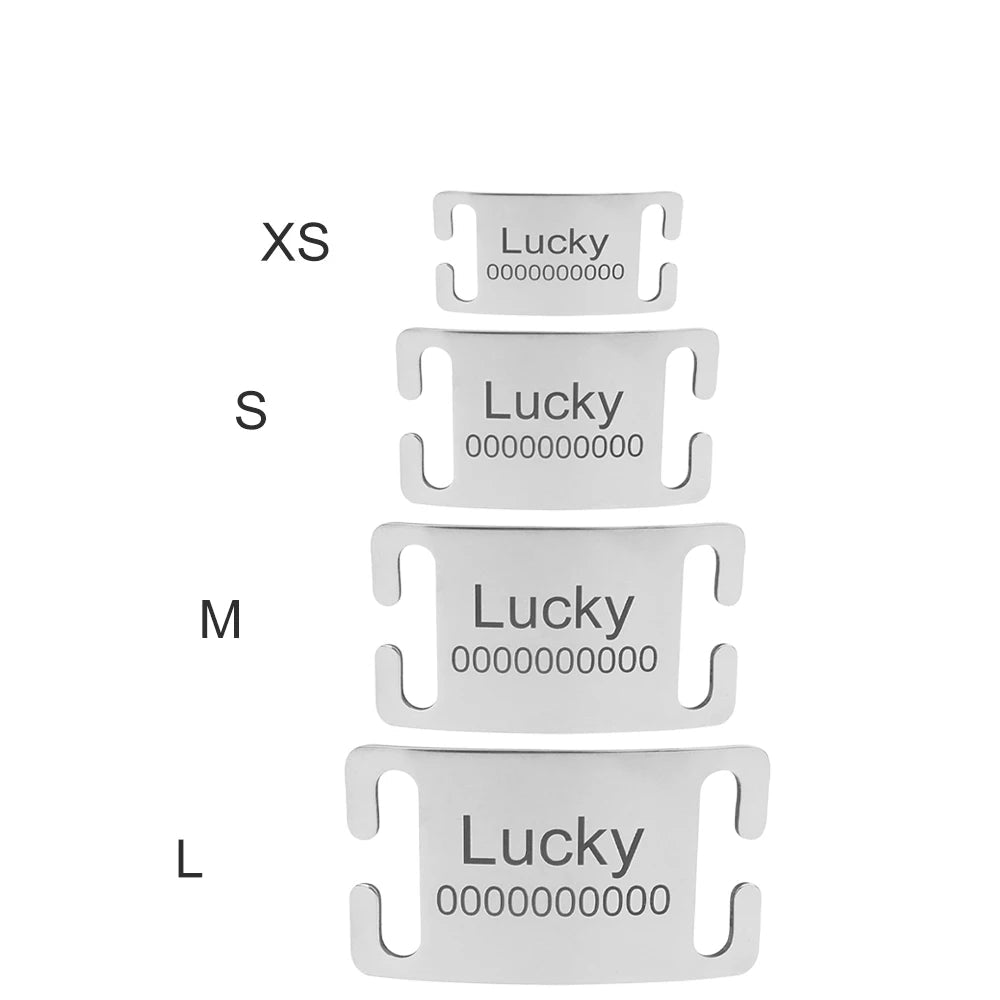 Vue comparative des tailles XS, S, M et L de la plaque personnalisée pour chien.