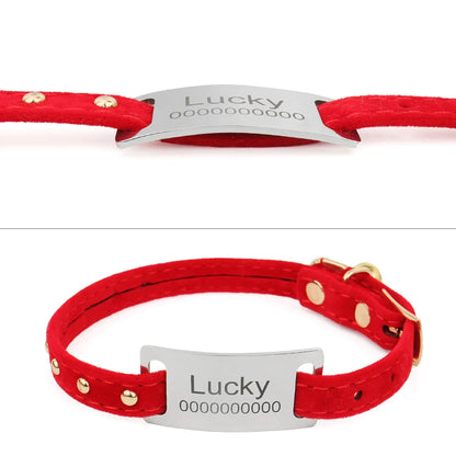 Plaque d’identification incurvée argentée montée sur un collier rouge pour chien.