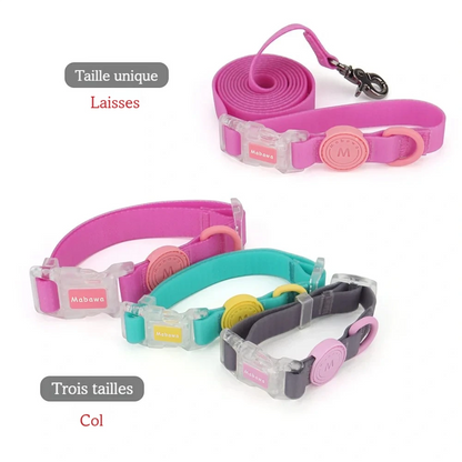 Présentation de la laisse taille unique et du collier en trois tailles pour chien sur fond blanc.