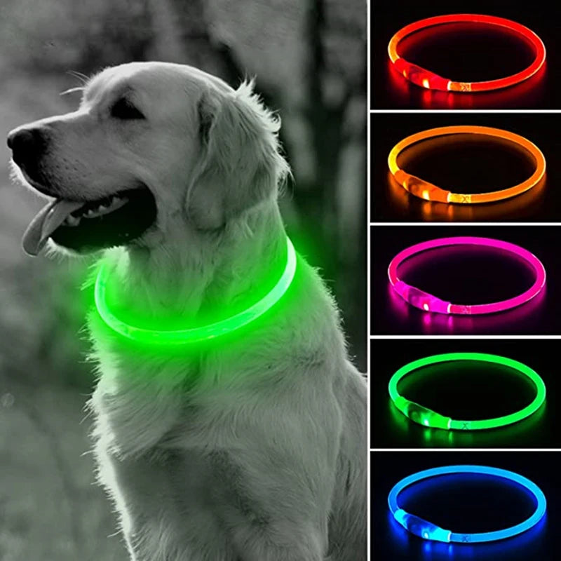 Présentation du collier lumineux vert allumés porté sur chien blanc noir et vignette des différentes couleurs disponibles sur la droite de l'image.