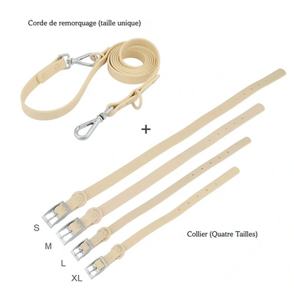 Visuel des tailles S, M, L et XL des laisses pour collier chien.