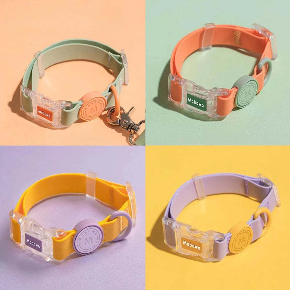 Présentation de quatre versions du collier réglable pour chiot.