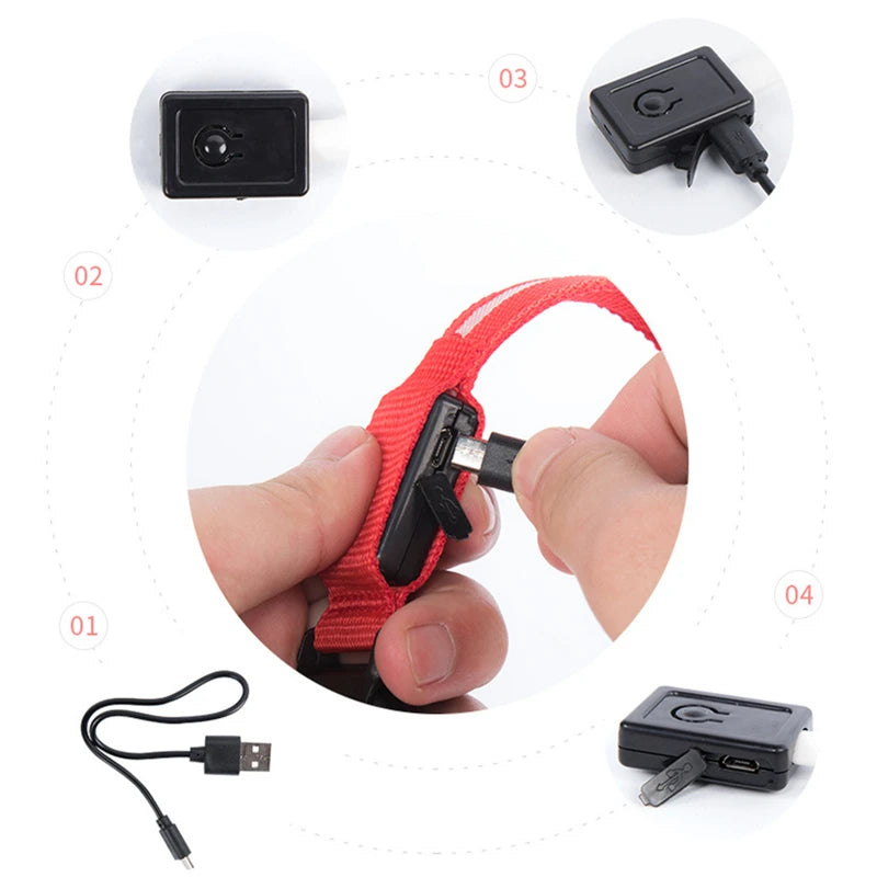 Main branchant un câble micro USB sur un collier lumineux rouge pour chien.