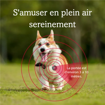 Chien en extérieur portant un répulseur ultrasonique avec zone de couverture illustrée