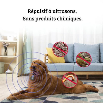 Chien allongé dans un salon avec visualisation de la protection ultrasonique contre les parasites