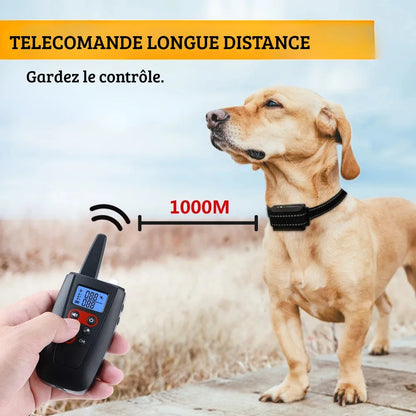 Démonstration de la portée à distance de 1000 mètres du collier de dressage pour chien avec télécommande.