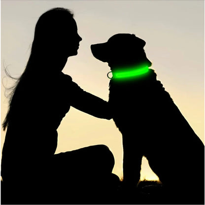 Silouhette d'une femme et d'un chien assis portant un collier LED vert dans une scène en contre-jour.