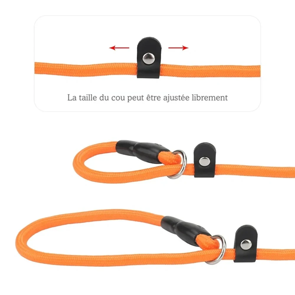 Démonstration du réglage libre d’un collier à glissière orange pour chien.