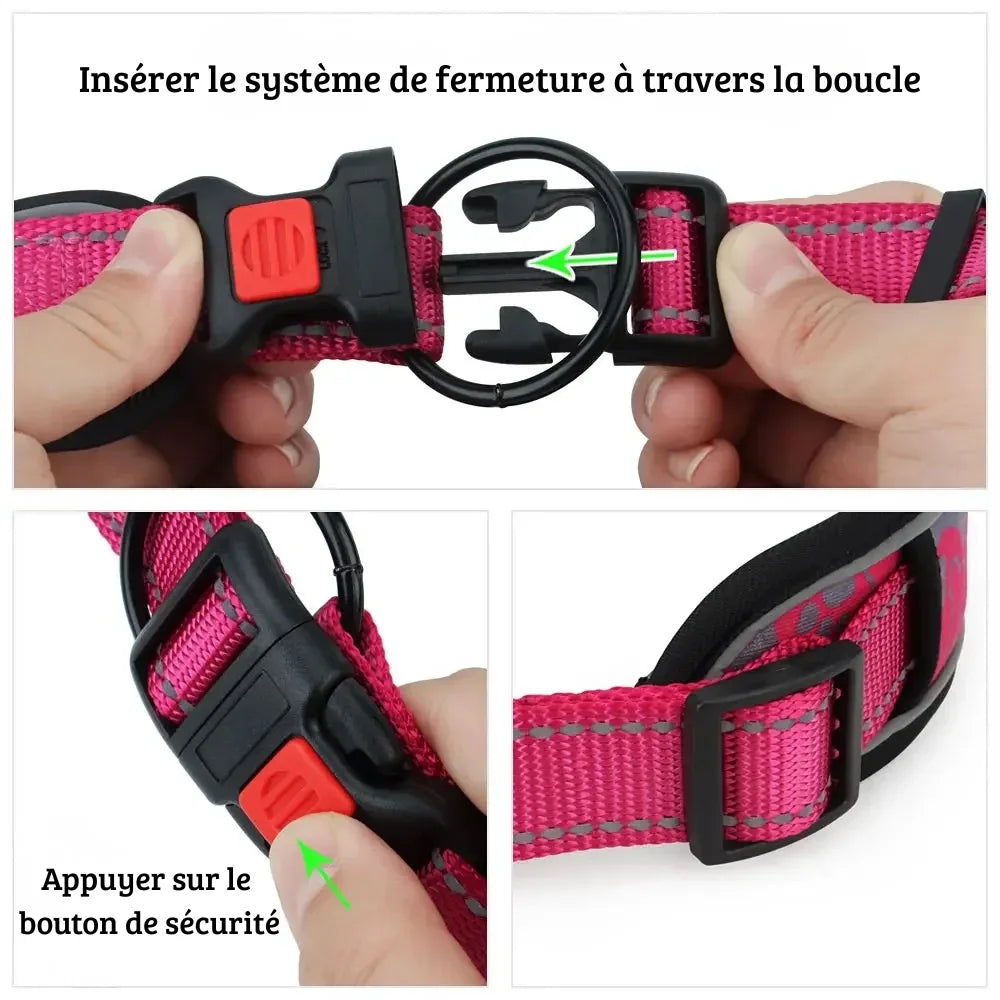 Guide illustré du système de fermeture du collier montrant le passage de la sangle dans l'anneau métal.