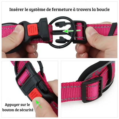 Guide illustré du système de fermeture du collier montrant le passage de la sangle dans l'anneau métal.