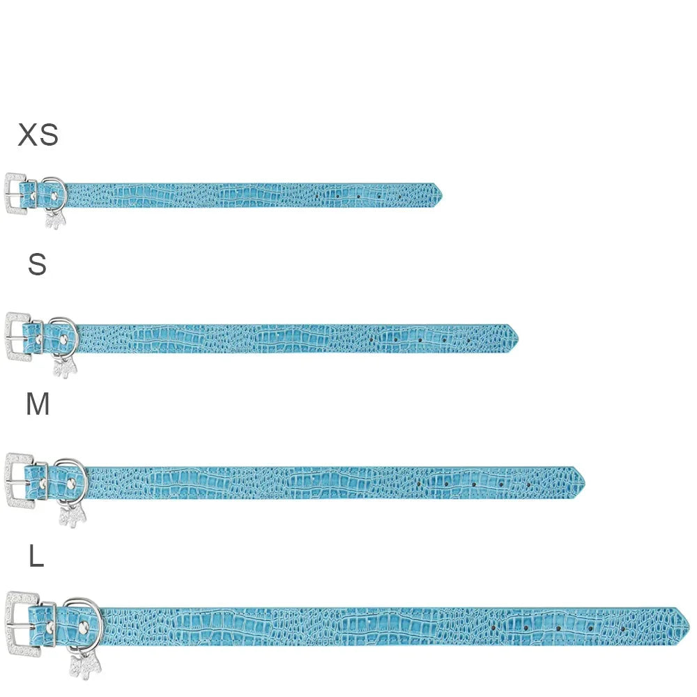 Guide visuel des tailles du collier chien bleu avec boucle strass.