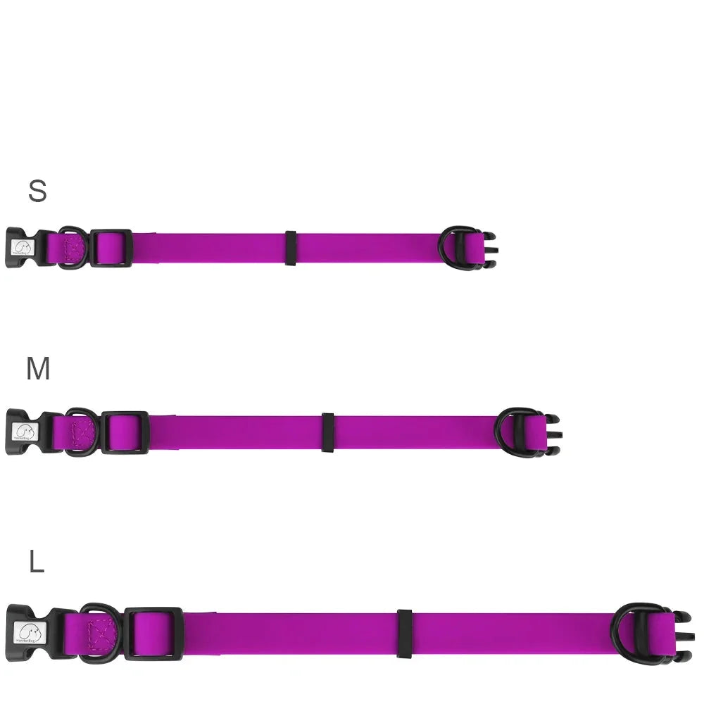 Présentation des trois tailles disponibles pour le collier chien imperméable.