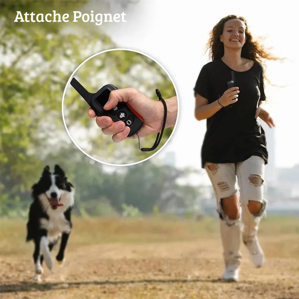 Utilisation de la télécommande du collier de dressage pour chien avec dragonne portée au poignet.