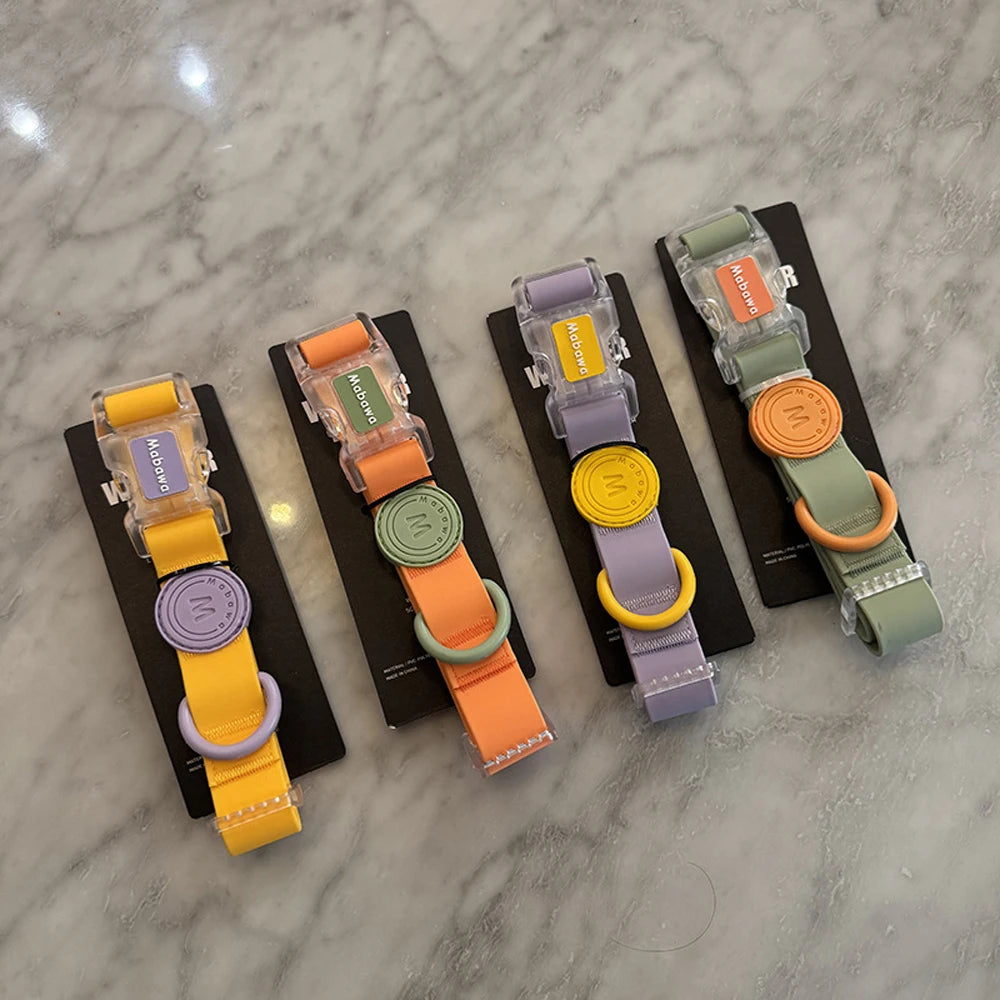 Plusieurs variantes du collier chiot couleur bonbon présentées sur support noir.