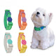 Variantes du collier chiot waterproof avec chien blanc portant le modèle vert.