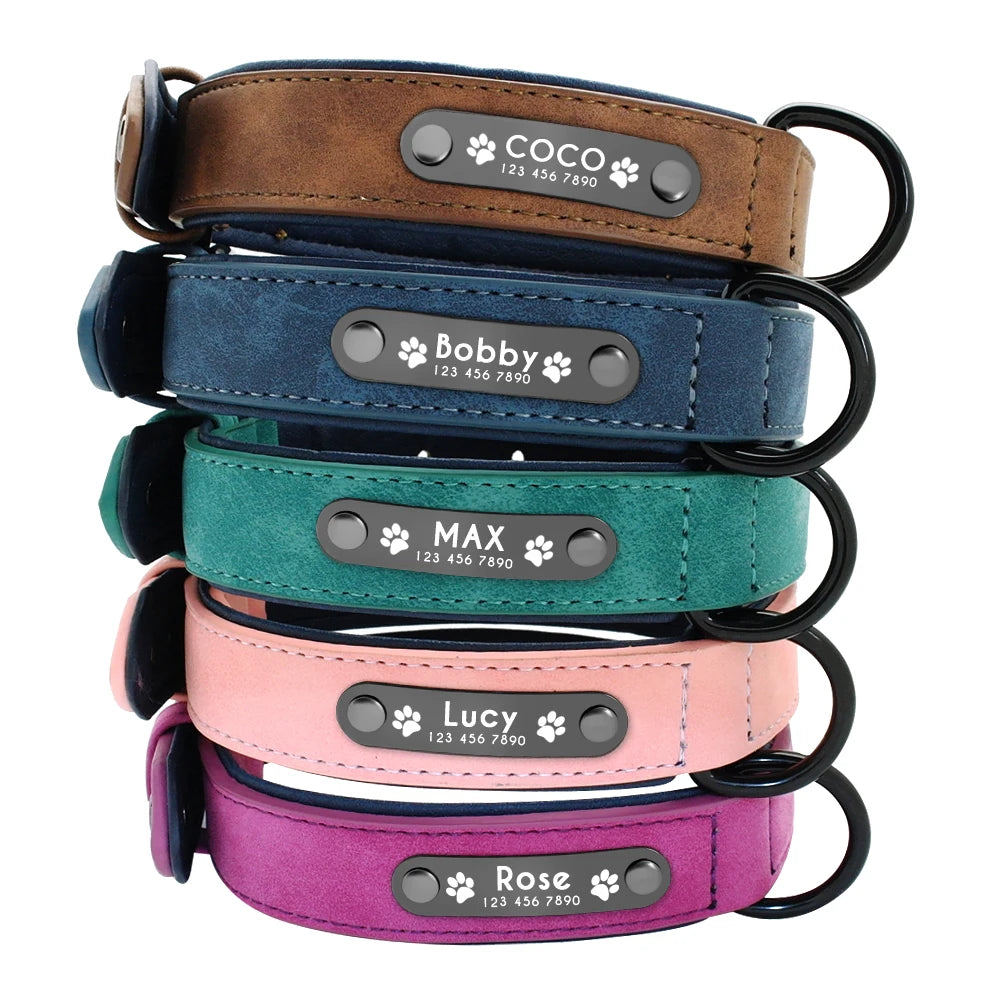 Plusieurs coloris de colliers en cuir personnalisés pour chien avec plaque noire gravée.