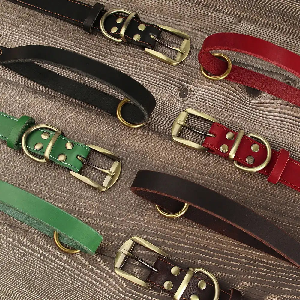 Différentes couleurs de colliers et laisses pour chien en cuir personnalisable avec plaque gravée présentés à plat sur un plancher en bois.