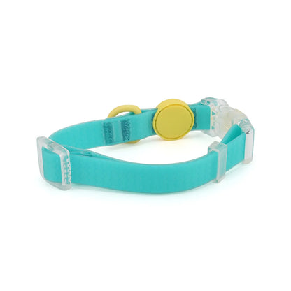 Vue arrière d’un collier pour chien turquoise avec détails jaunes présenté sur fond blanc.