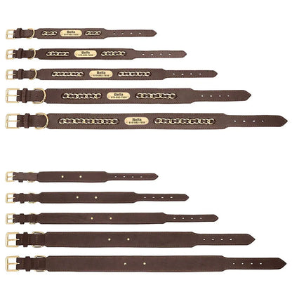 Vue avant et arrière du collier pour chien en cuir avec chaîne dorée décorative en plusieurs tailles.