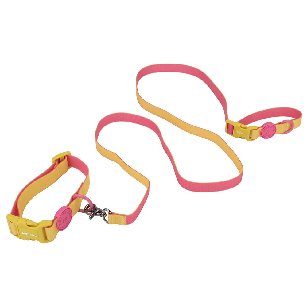 Vue d’ensemble d’un collier et d’une laisse pour chien jaune et rose sur un fond blanc.