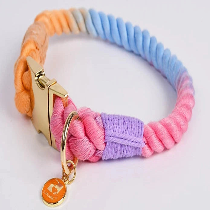 Zoom sur le cllier pour chien en corde torsadée multicolore avec boucle dorée.